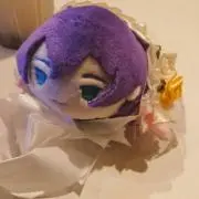 ちゅんこの画像