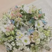 omameの画像
