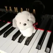 うめここの画像