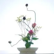 ヤドカリさん