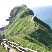 norikura2   24時間以内発送の画像
