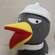 キョエちゃんの画像