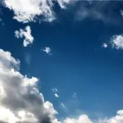 みみ