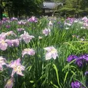 じゅんもうです　不用品を販売してます