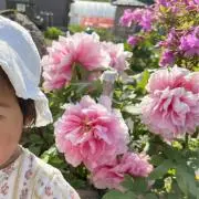 さくらこ☘即購入歓迎ですの画像