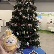美優の画像
