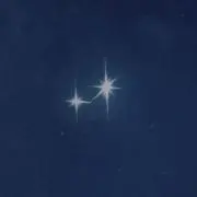 こんぶの画像