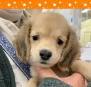 ユッキー