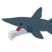 サメ吉