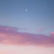 たぴぴの画像