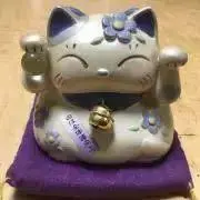 ぴのこの画像