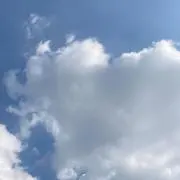 manakaの画像