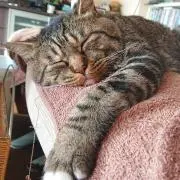 ちゃま♡の画像