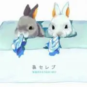 ひひんひんの画像