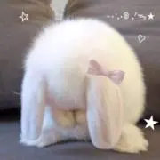 れいちゃまの画像