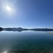 y.の画像