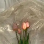 まる◎の画像