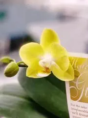 kの画像
