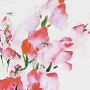 りも