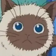 りんご空の画像