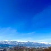 バンビーノの画像