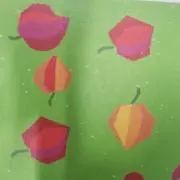 くまもるひめの画像