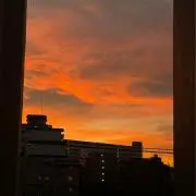 ナナコ