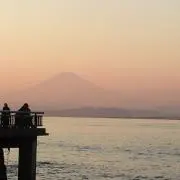 やっちゃんの画像