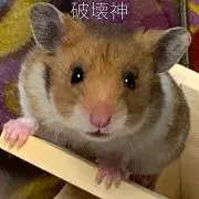 黒ギャル