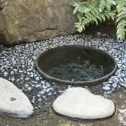 杏仁豆腐