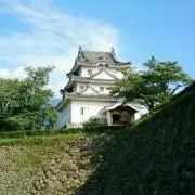 サイノメの画像