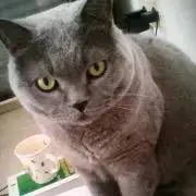 8888