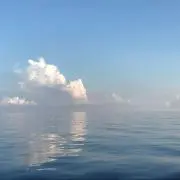 サトキ