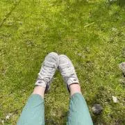 Aliceの画像