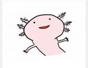 ぷくの画像