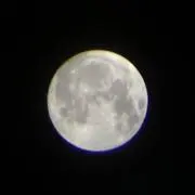 ドク