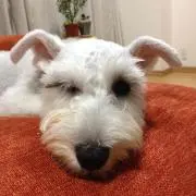 ロビン❤︎の画像