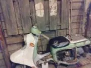 眞悧の画像