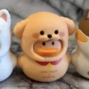 dty5の画像