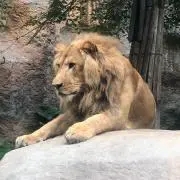 だぃぴぃ