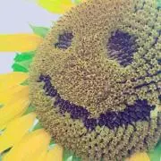 りー