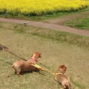 すまいらっくす♪の画像