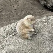 みかん