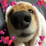 あっこ