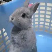 usako♡