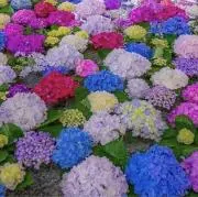 断捨離中の画像