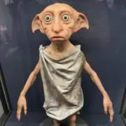 はるの画像