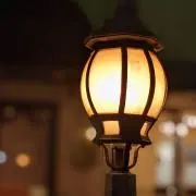 さやの画像