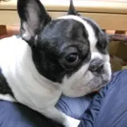 アキさんの画像
