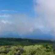 璃々